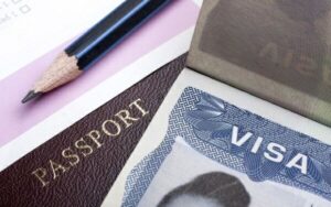  IVS Việt Nam công ty làm visa uy tín